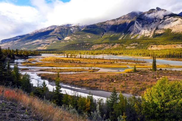 Mountain valley and river near Sundre
