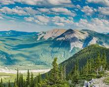 Summer mountain vista and forest